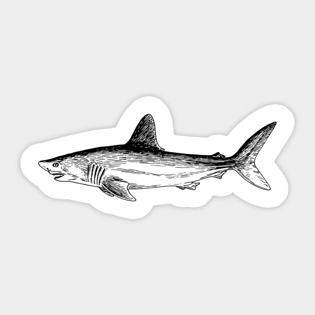 shark Sticker by scdesigns